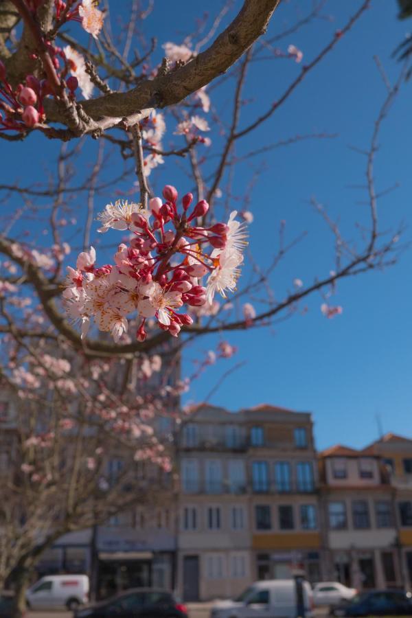 Burgo Apartments Republica Porto Exteriér fotografie